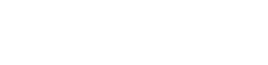 Michelangelo International Travel S.r.l.