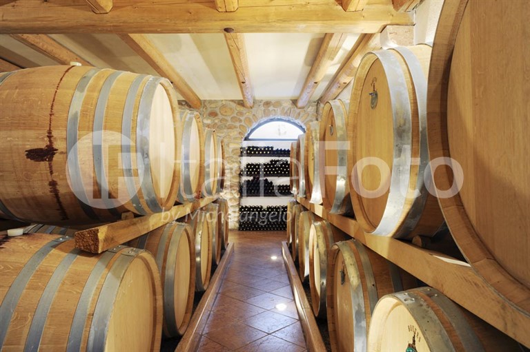 Cantina Monte Zovo - Lake Garda