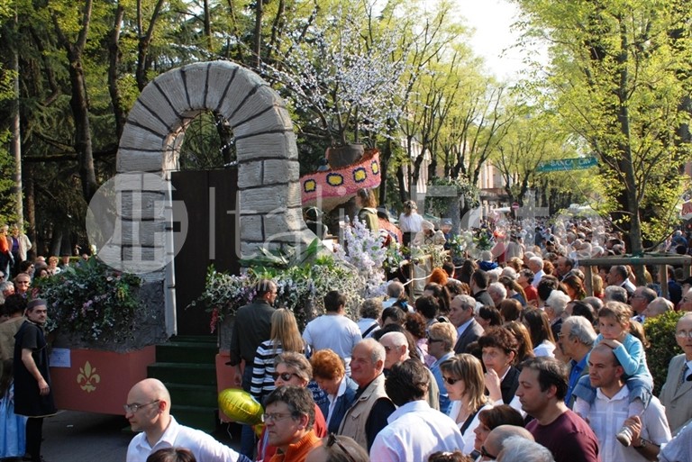 Emilia Romagna-Vignola-Kirschbluete