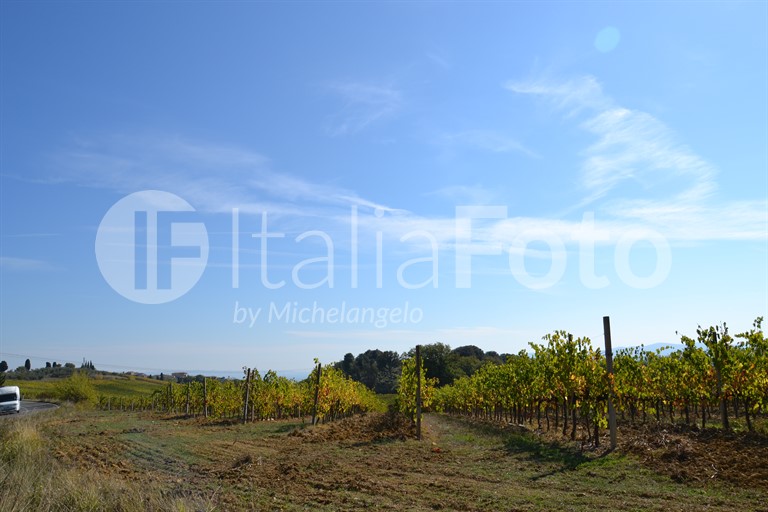 Tuscany-Chianti
