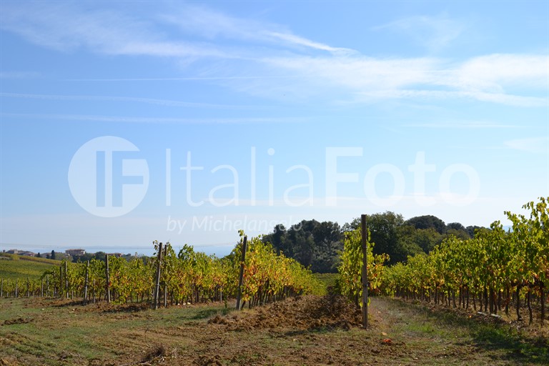 Tuscany-Chianti