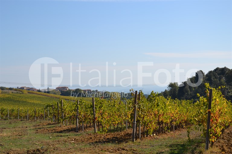 Tuscany-Chianti