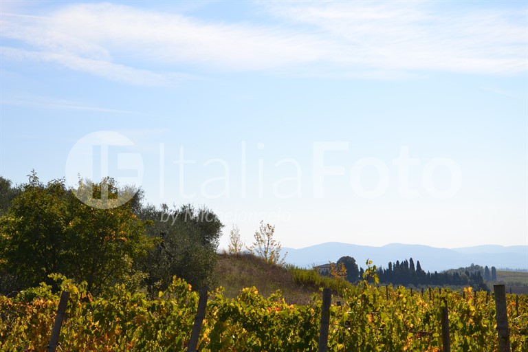 Tuscany-Chianti