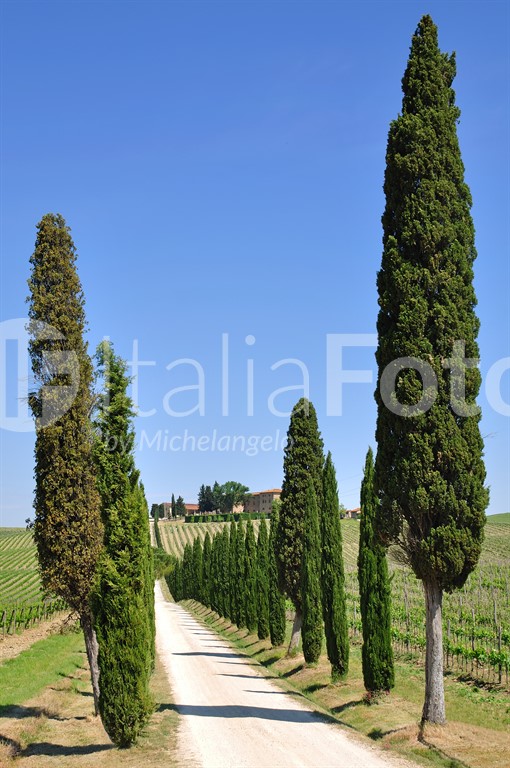 Tuscany-Chianti