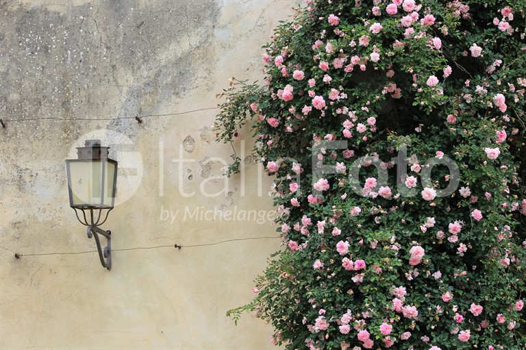 Boboli Garten