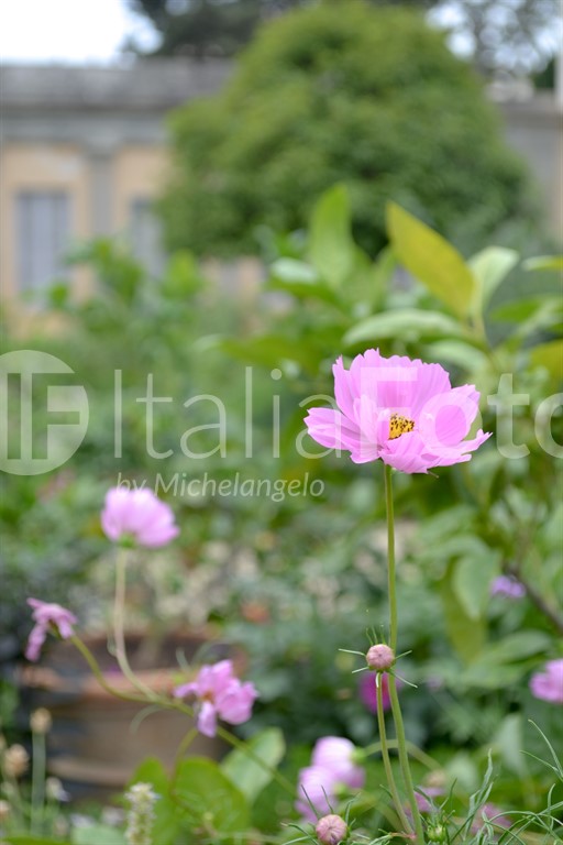 Boboli Garten