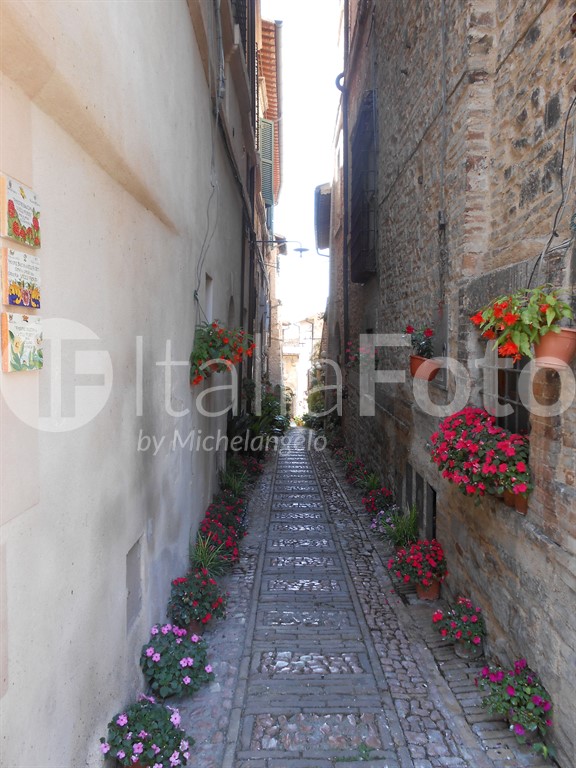 Umbrien-Spello