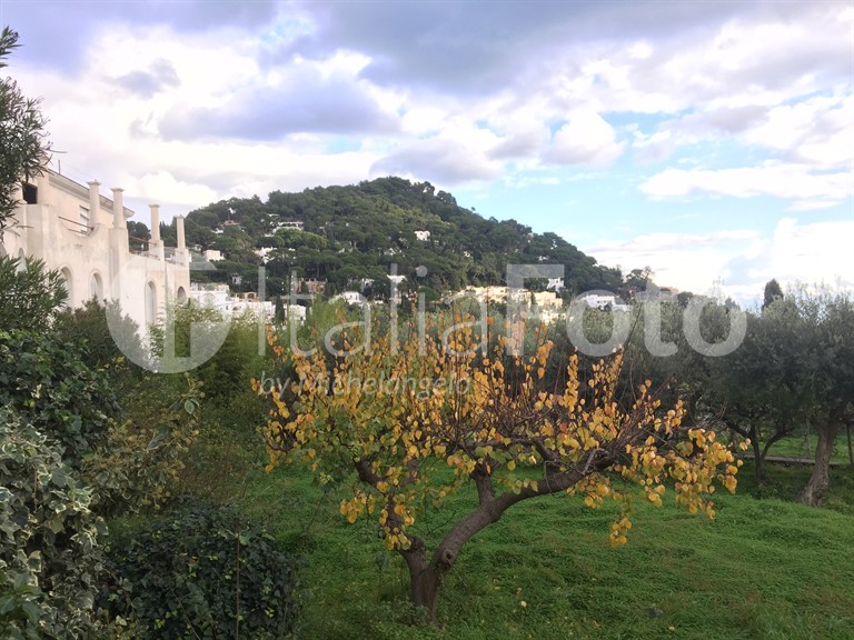 Campania-Capri