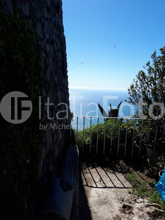 Campania-Capri