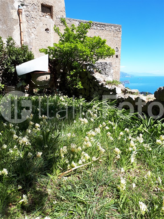 Campania-Capri