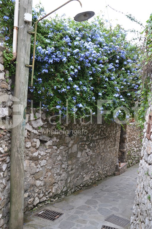 Campania-Capri