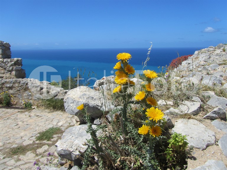 Sicily-Cefalù