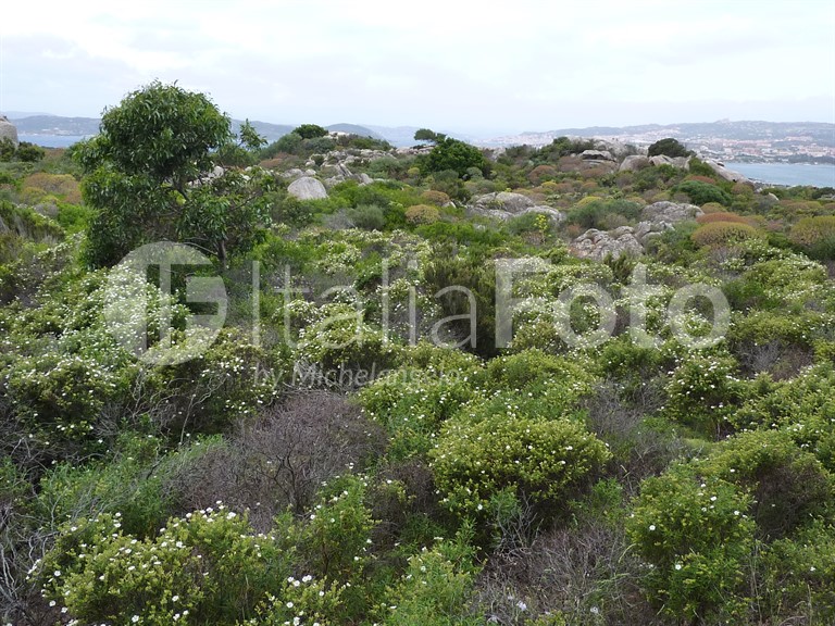 Sardinia-La Maddalena