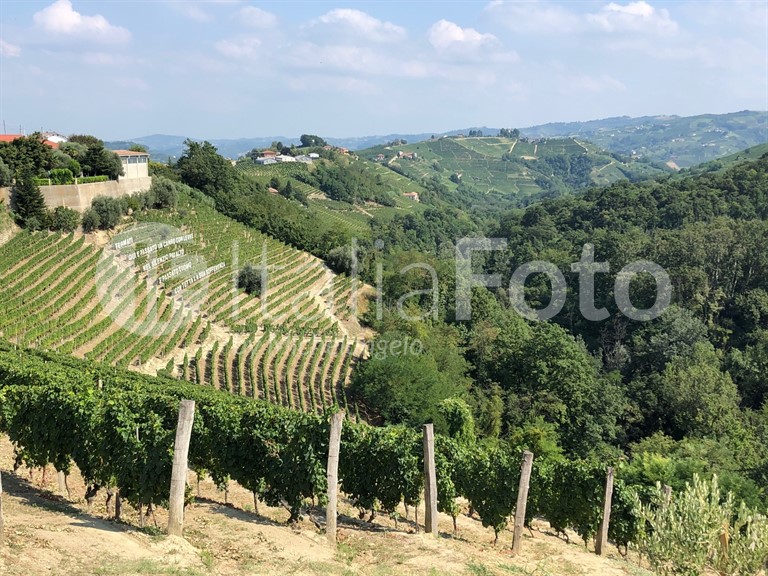Piemont-Langhe