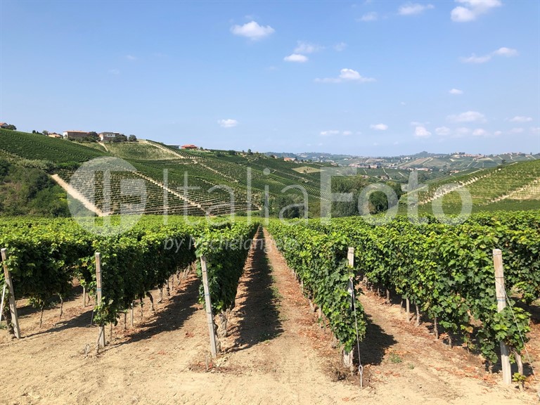 Piemont-Langhe