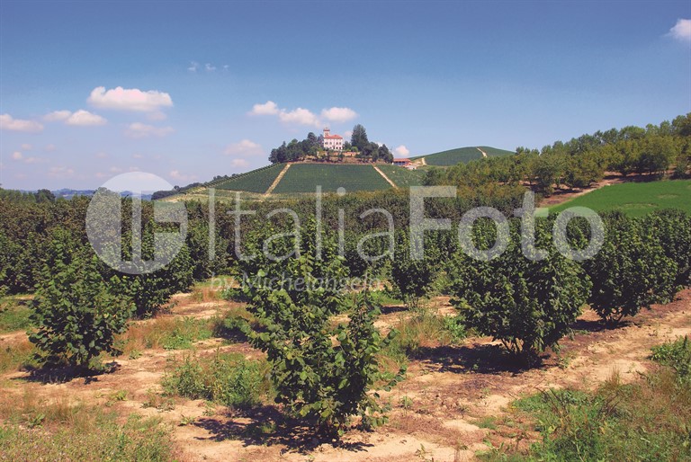 Piemont-Langhe