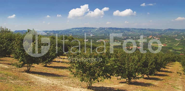 Piemont-Langhe