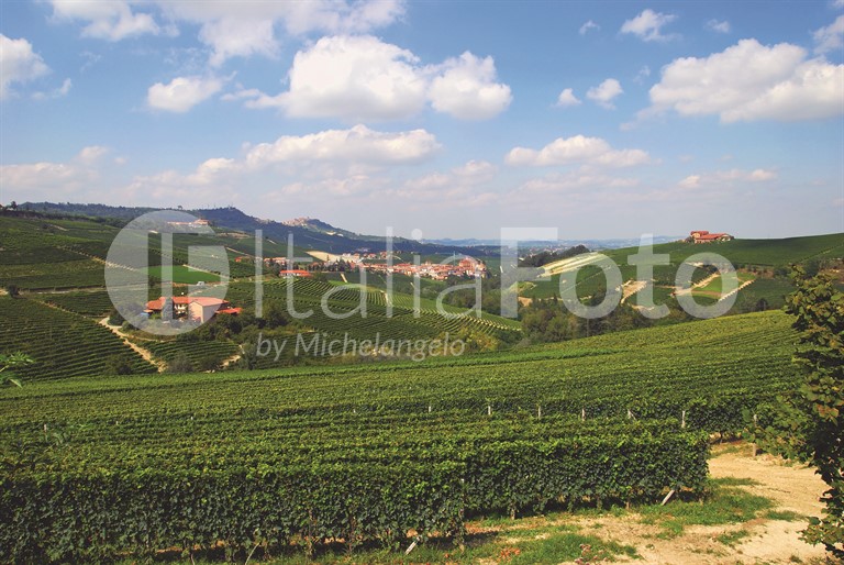 Piemont-Langhe