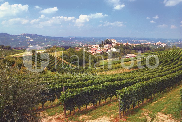 Piemont-Langhe