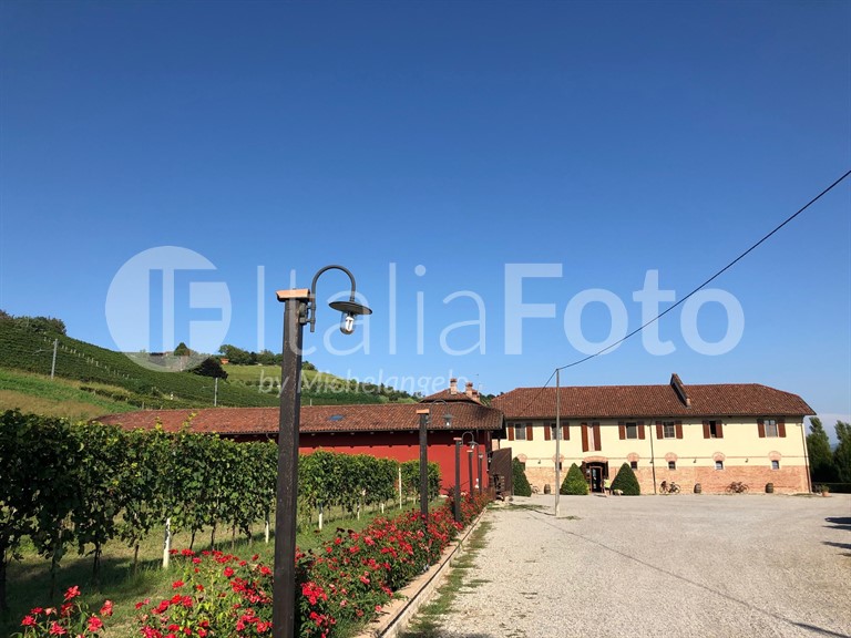 Piedmont-Roero