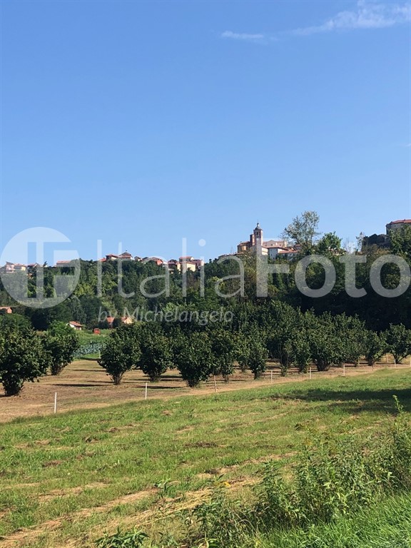 Piedmont-Roero