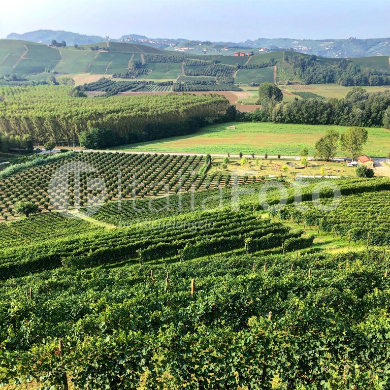 Piedmont-Roero