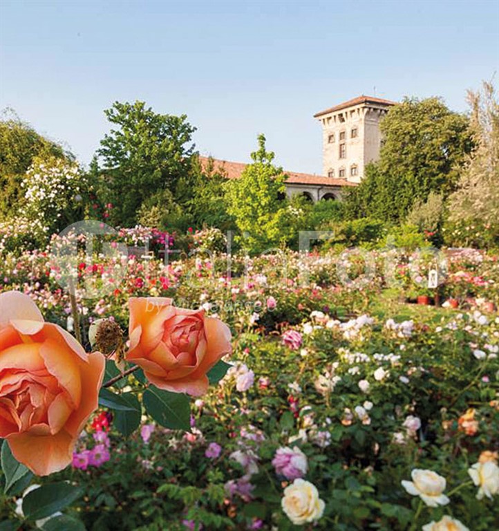 Lombardy-Franciacorta