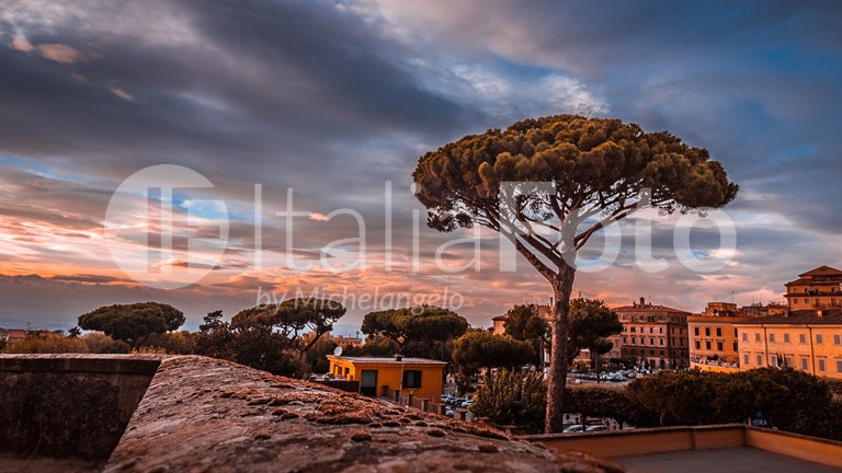 Frascati
