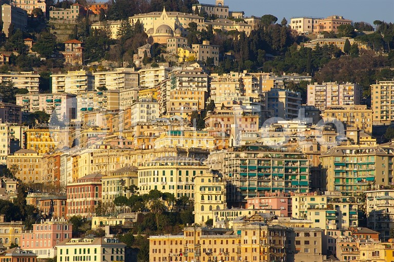 Genova
