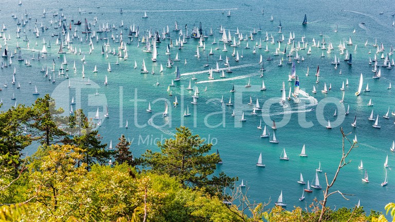 Trieste