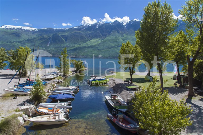 Tremosine