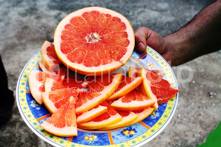 GUSTO (Campania)
