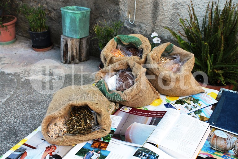 GUSTO (Campania)