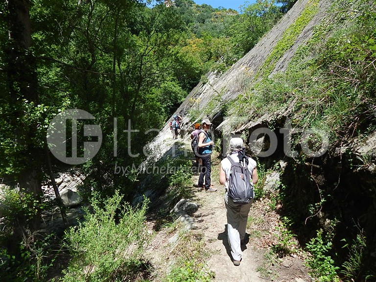 ACTIVO (Calabria - Basilicata)