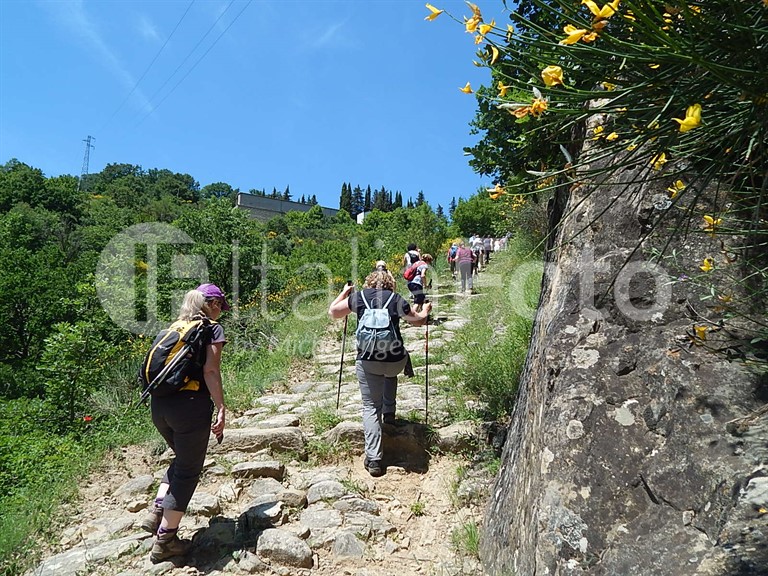 ACTIVO (Calabria - Basilicata)