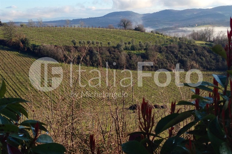Chianti Viallage Morrocco - Tavarnelle Val di Pesa