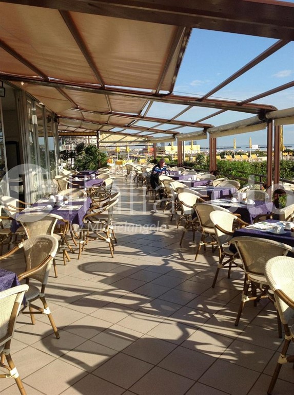 David - Cesenatico
