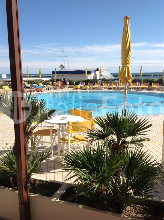 David - Cesenatico