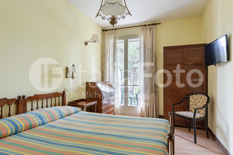 Palme - Garda