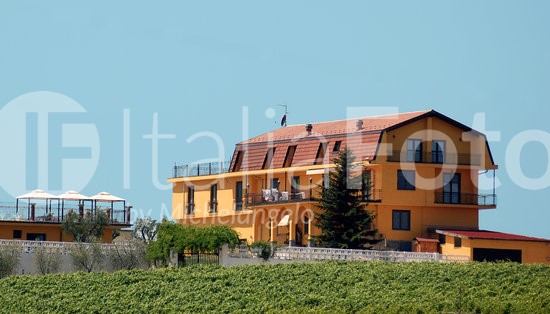 La Martina - Canelli