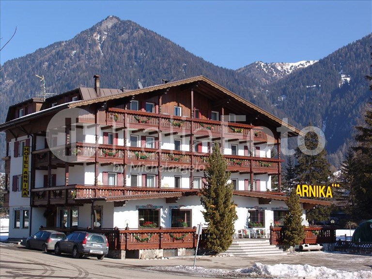 Arnika Fassa - Pozza di Fassa